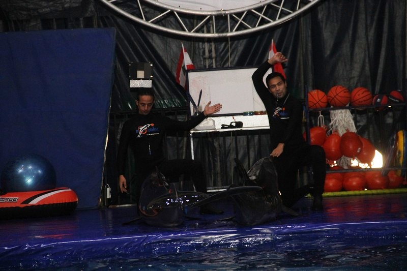 Official Opening of Beirut Dolphinarium