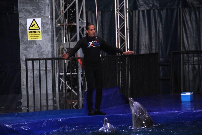 Official Opening of Beirut Dolphinarium