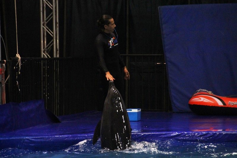 Official Opening of Beirut Dolphinarium
