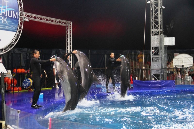 Official Opening of Beirut Dolphinarium
