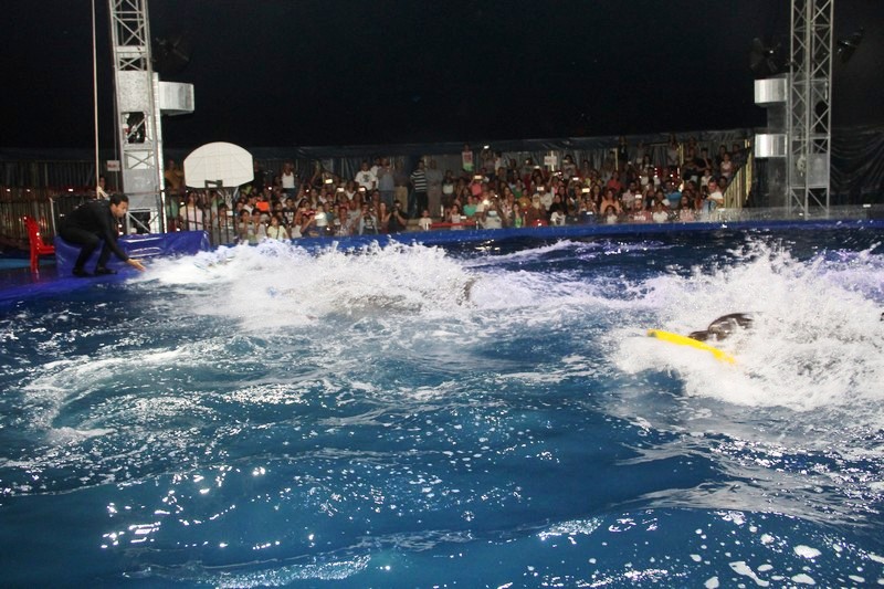 Official Opening of Beirut Dolphinarium