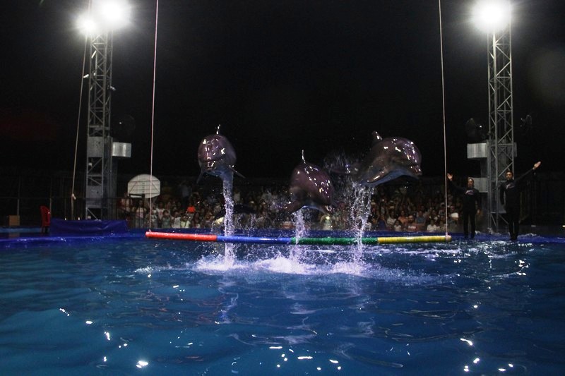 Official Opening of Beirut Dolphinarium