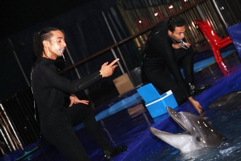 Official Opening of Beirut Dolphinarium