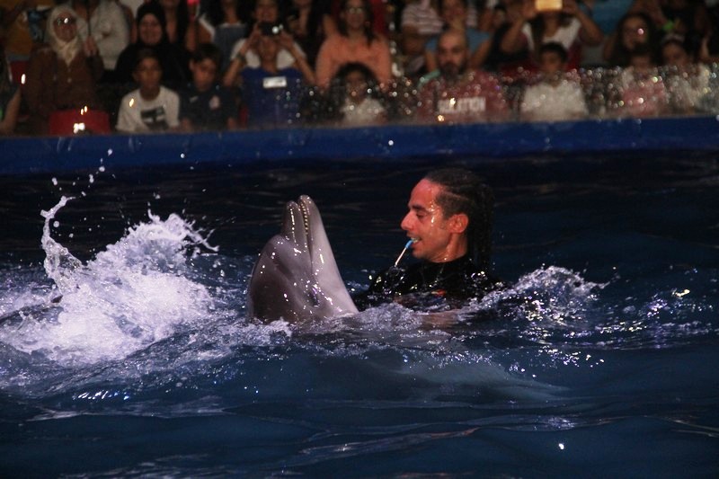 Official Opening of Beirut Dolphinarium
