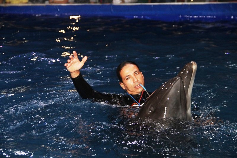 Official Opening of Beirut Dolphinarium