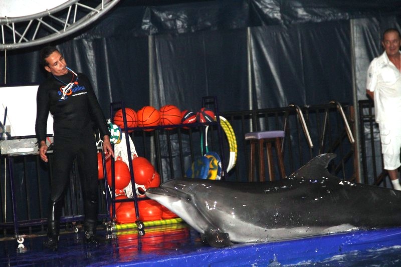 Official Opening of Beirut Dolphinarium