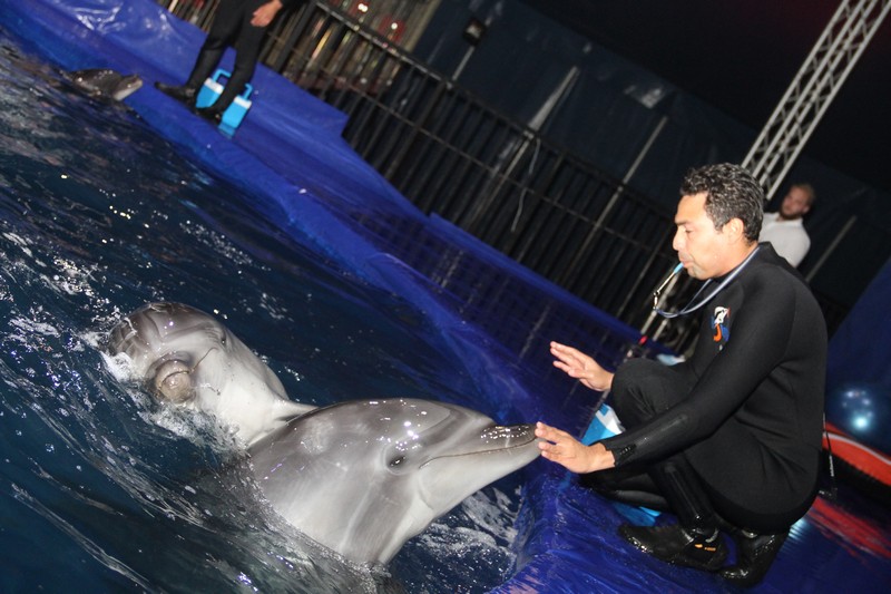 Official Opening of Beirut Dolphinarium