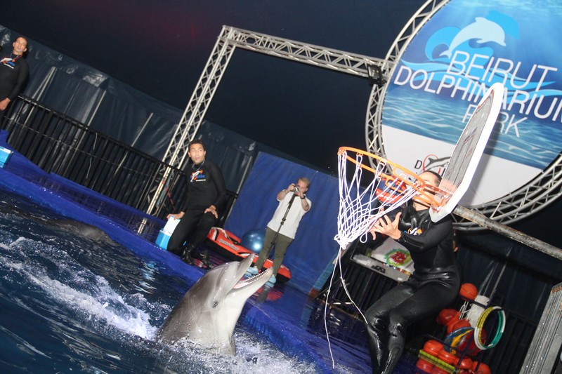 Official Opening of Beirut Dolphinarium