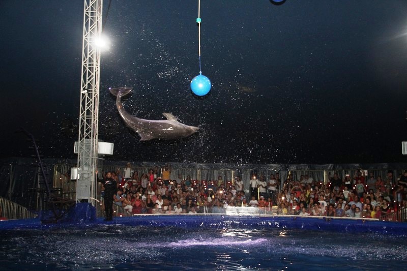Official Opening of Beirut Dolphinarium