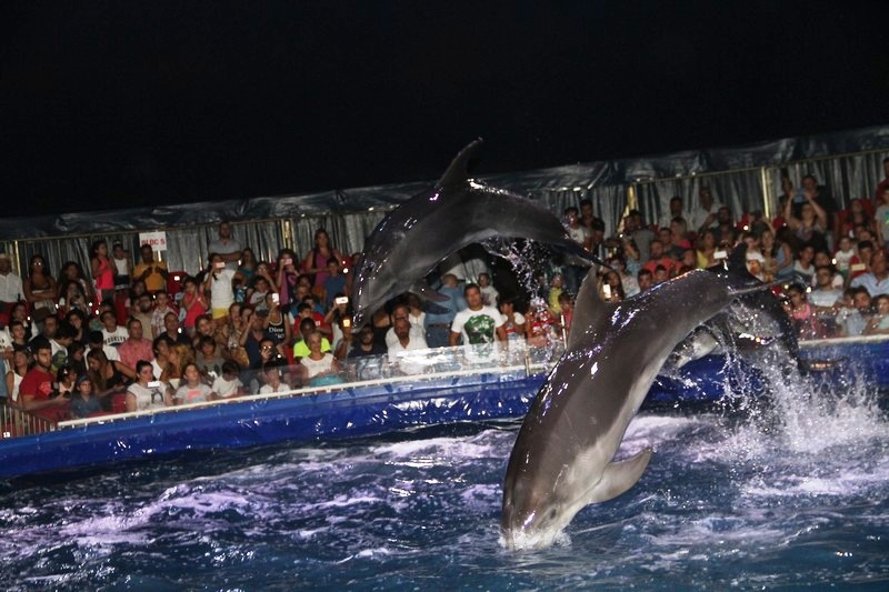 Official Opening of Beirut Dolphinarium