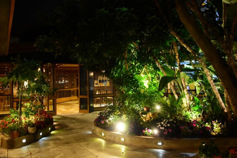 Wedding ceremony at Chez Walid Restaurant