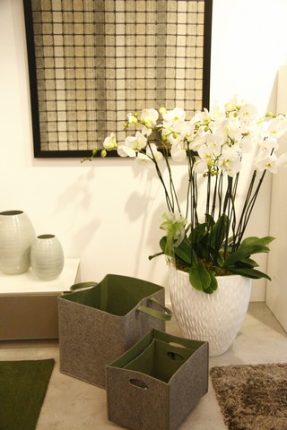 Opening of Calligaris