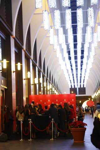 Carolina Herrera 5th Year Anniversary Party