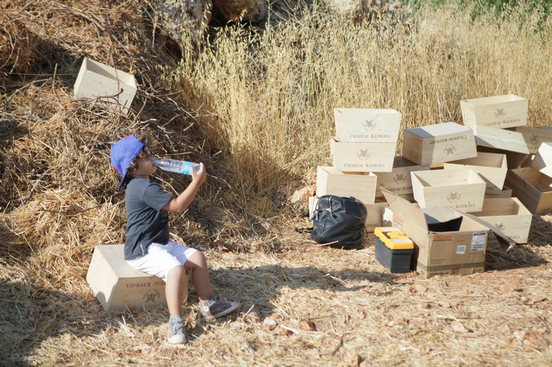 Journée des Vendangeurs 2019