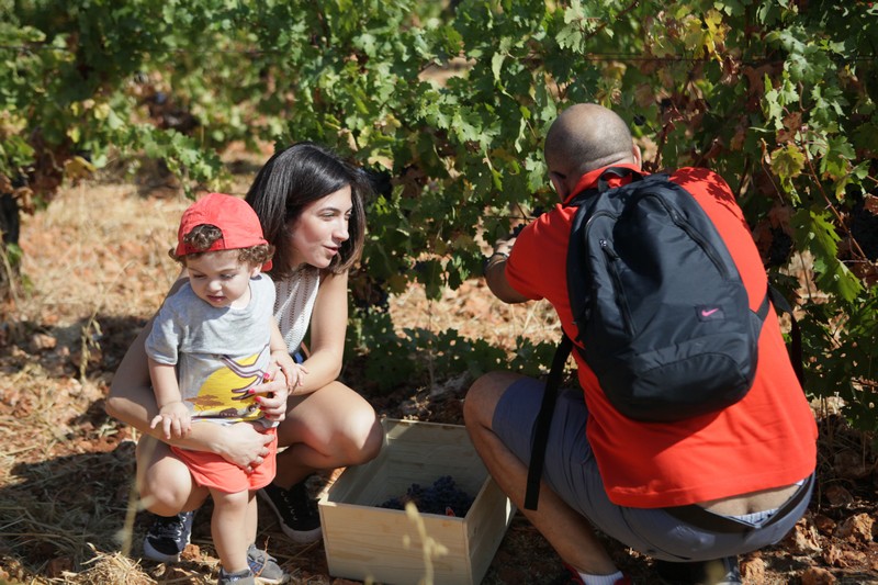 Journée des Vendangeurs 2019