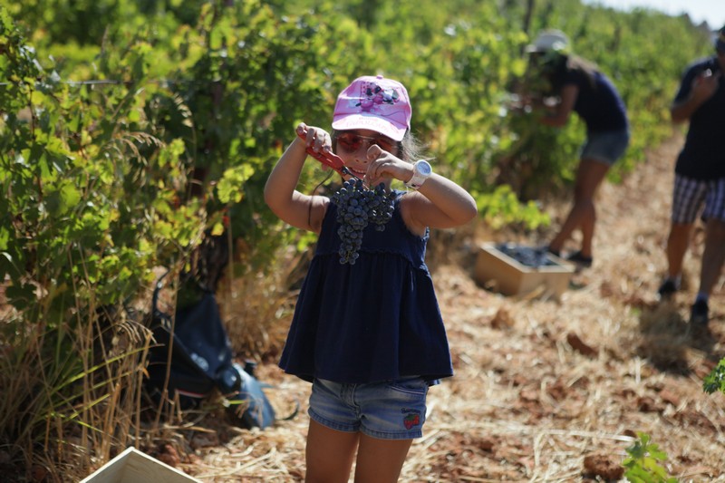 Journée des Vendangeurs 2019