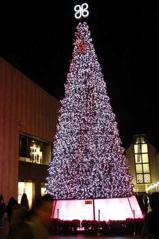 Patchi Christmas Tree 