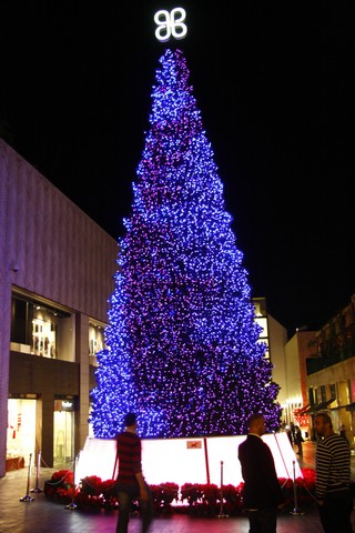 Patchi Christmas Tree 