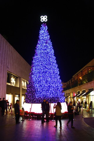 Patchi Christmas Tree 