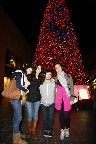 Patchi Christmas Tree 