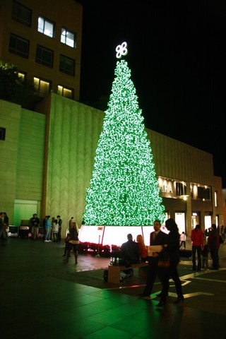 Patchi Christmas Tree 