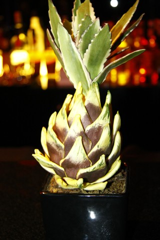 Opening of Cinco Lounge