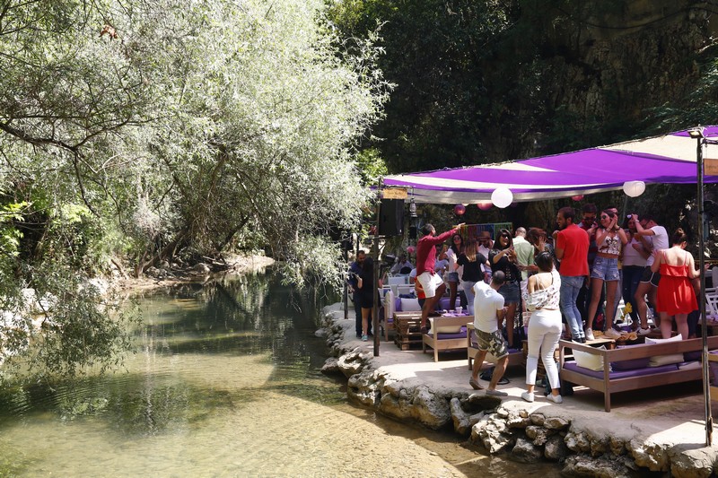 Crocus Sous Le Pont Opening 