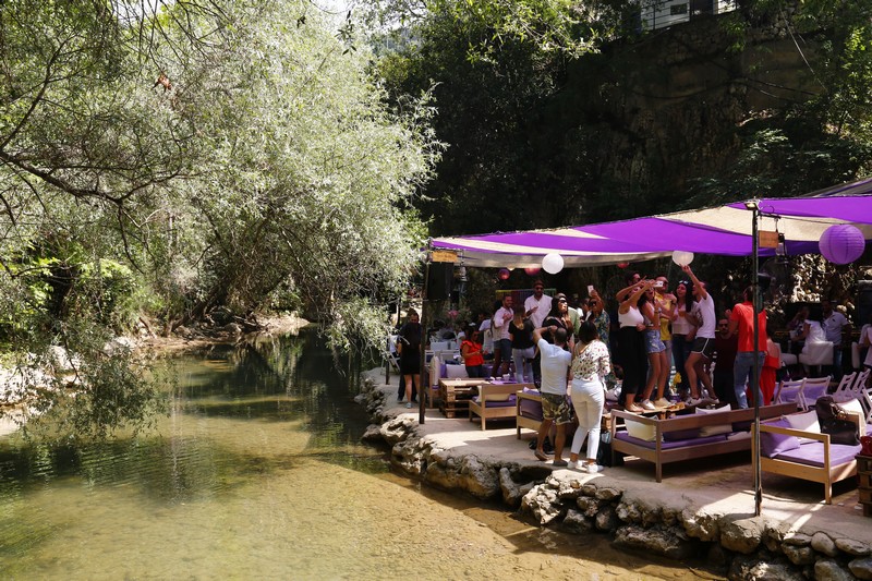 Crocus Sous Le Pont Opening 
