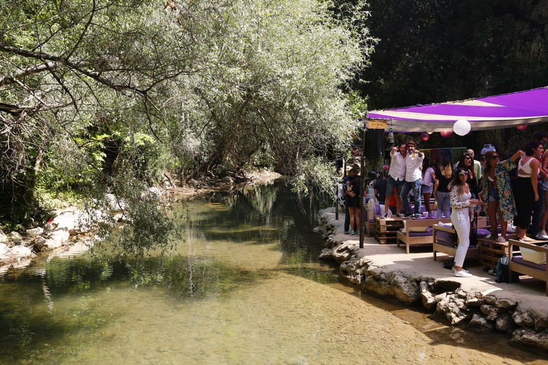 Crocus Sous Le Pont Opening 