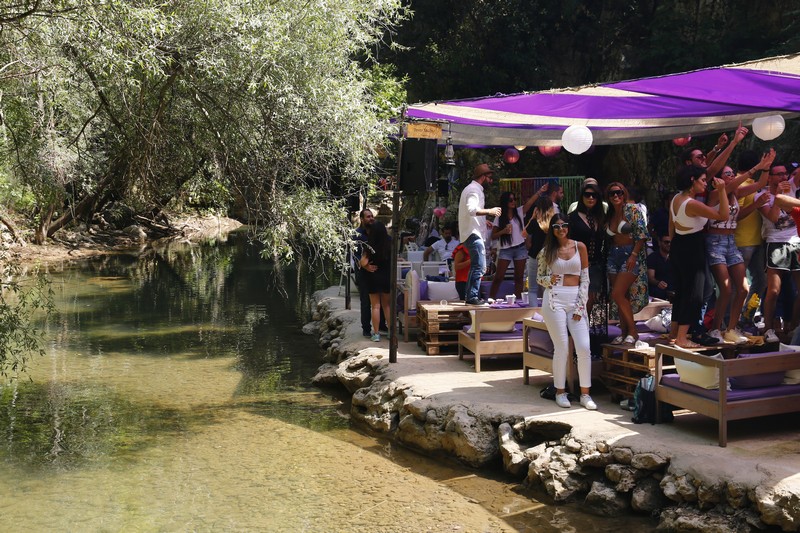 Crocus Sous Le Pont Opening 