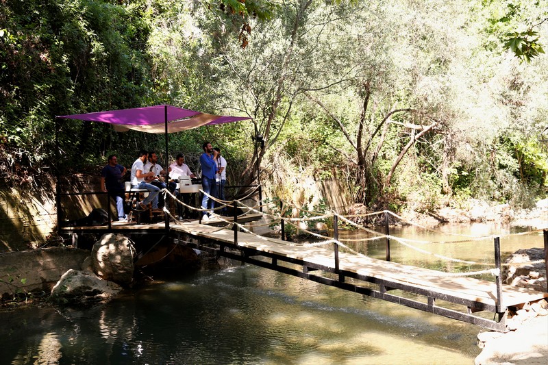 Crocus Sous Le Pont Opening 