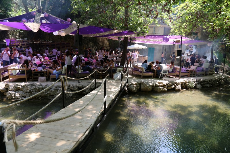 Crocus Sous Le Pont Opening 