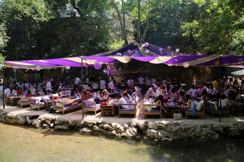 Crocus Sous Le Pont Opening 