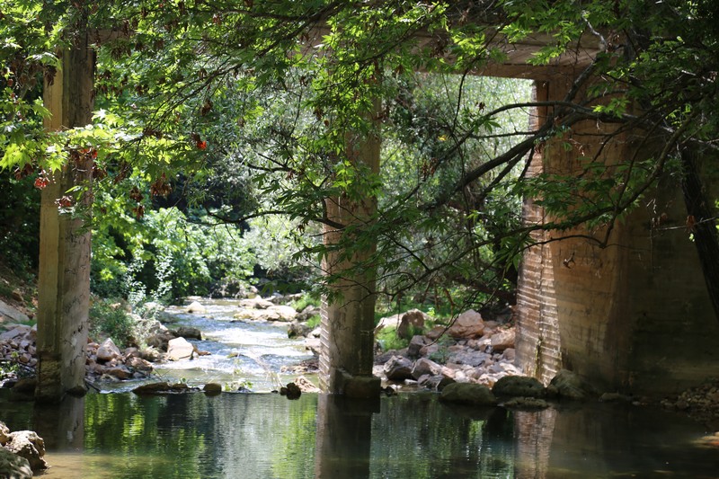 Crocus Sous Le Pont Opening 