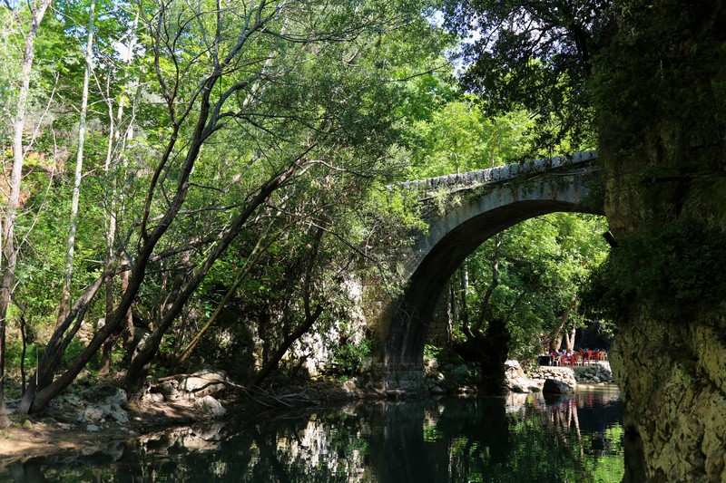 Crocus Sous Le Pont Opening 