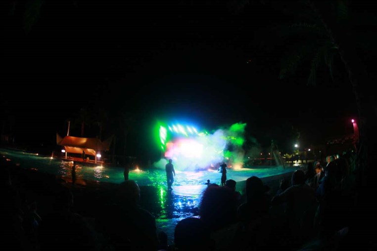 Superflying Water Show