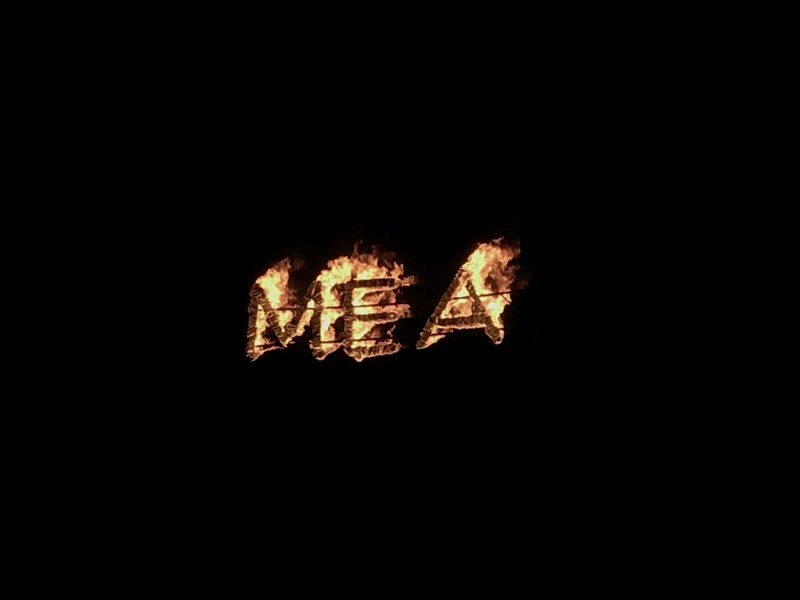 MEA Digital Networking event 