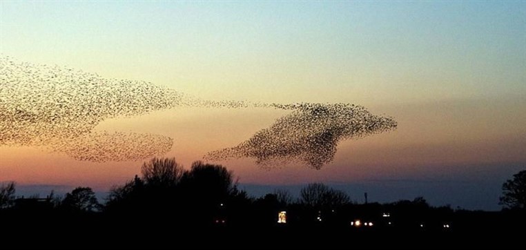 50 Pictures at Perfect Timing