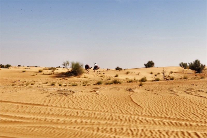 Dubai Tour 2017