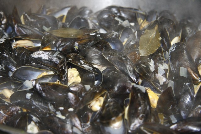 Moules Frites Night at eCafe