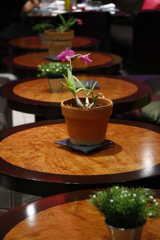 E Cafe Sursock on Saturday Night