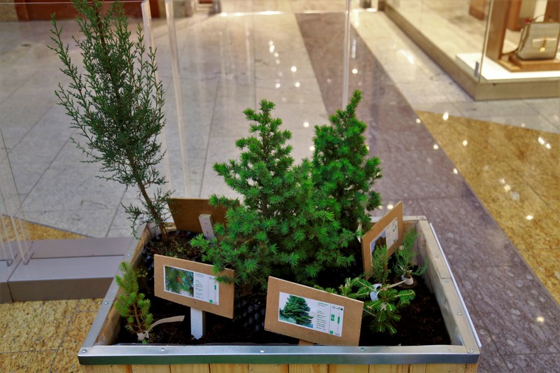 Earth Hour at City Centre Beirut