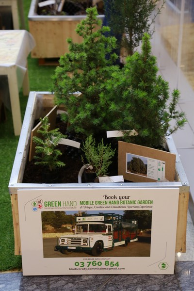 Earth Hour at City Centre Beirut