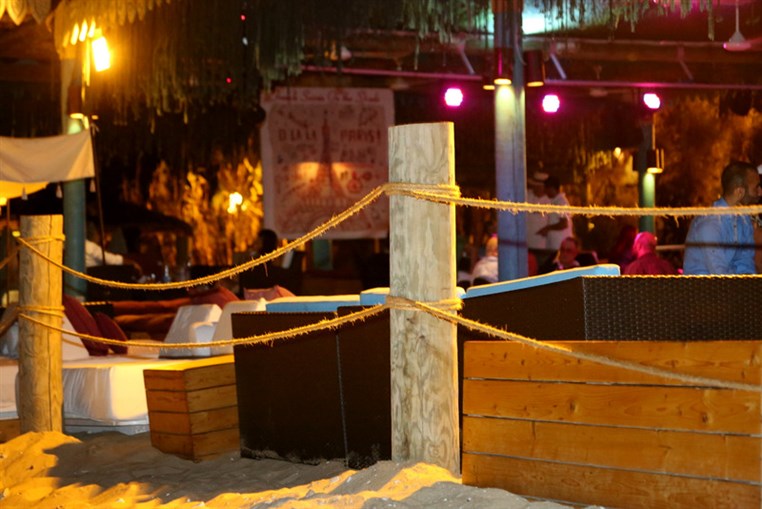 Launching of Wild Wednesdays