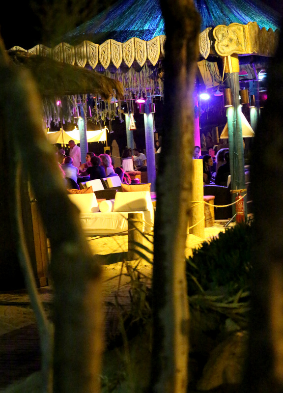 Launching of Wild Wednesdays