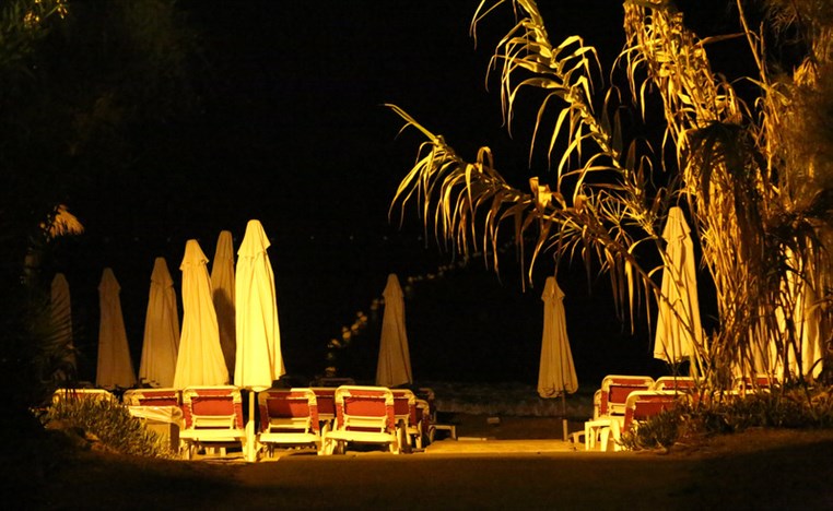 Launching of Wild Wednesdays