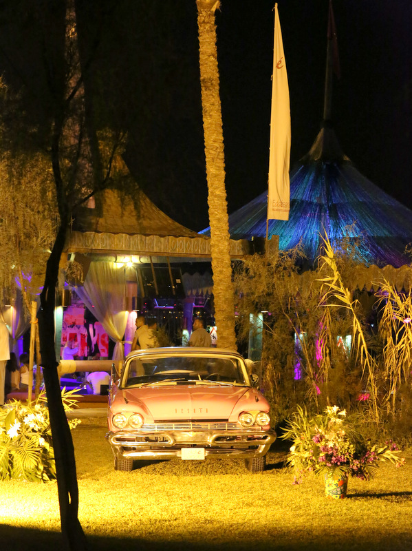 Launching of Wild Wednesdays