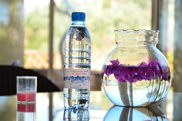 Edde Sands Wellness Conference