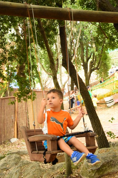 Summer Fun Day