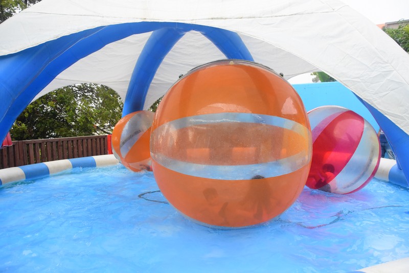 Summer Fun Day